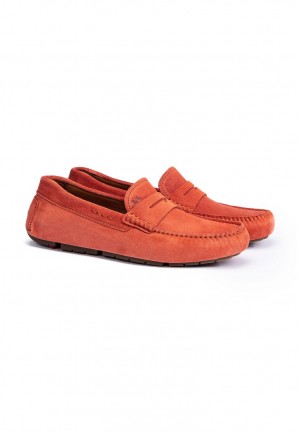 Férfi LLOYD ELJOS Slip Ons Sárga | MGB592614