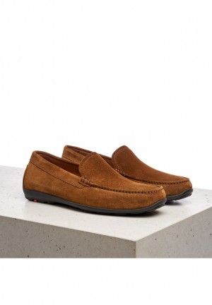 Férfi LLOYD EMILIO Slip Ons Barna | VTS305169