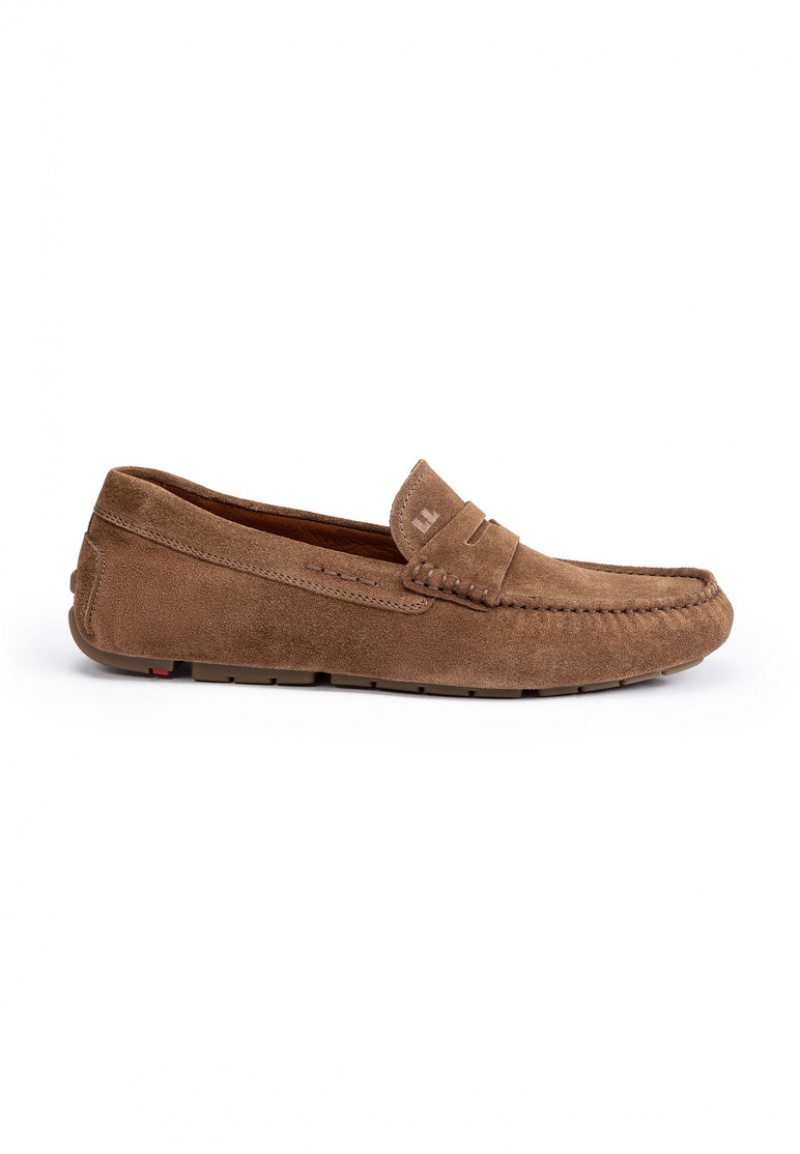 Férfi LLOYD ELJOS Slip Ons Barna | LJK407216