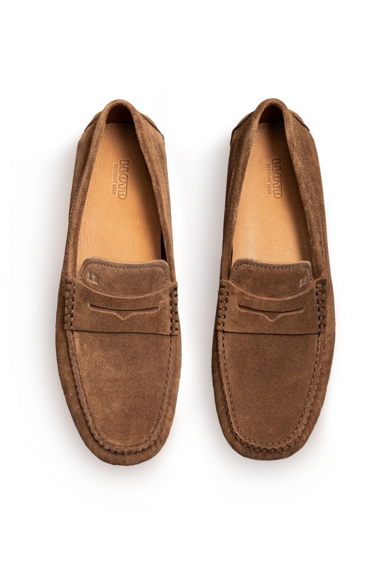 Férfi LLOYD ELJOS Slip Ons Barna | LJK407216