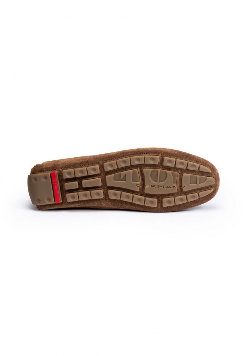 Férfi LLOYD ELJOS Slip Ons Barna | LJK407216