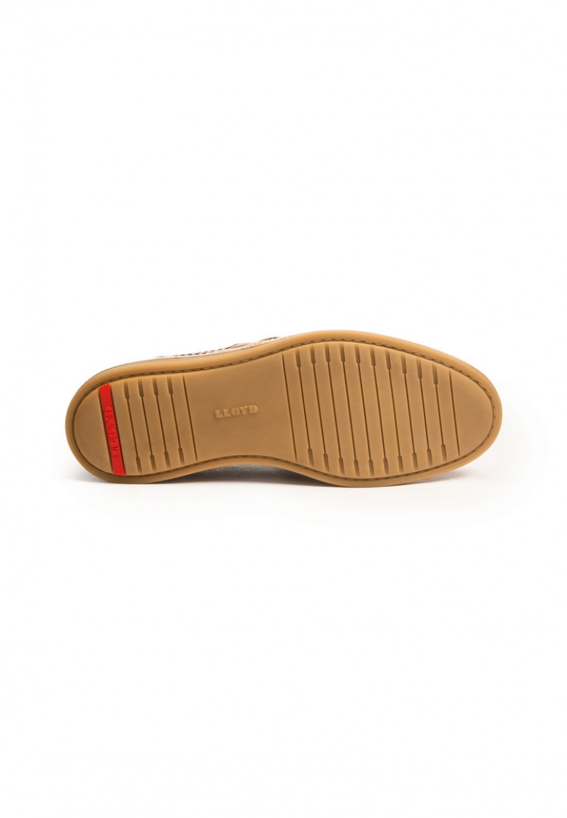 Férfi LLOYD FERGUSON Slip Ons Barna | NZM140735