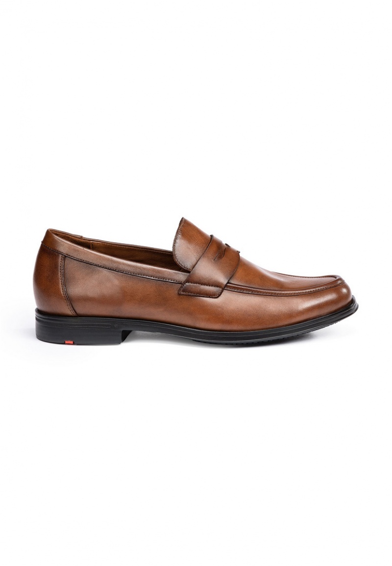 Férfi LLOYD KAIRO Smart shoes Barna | EUP789345