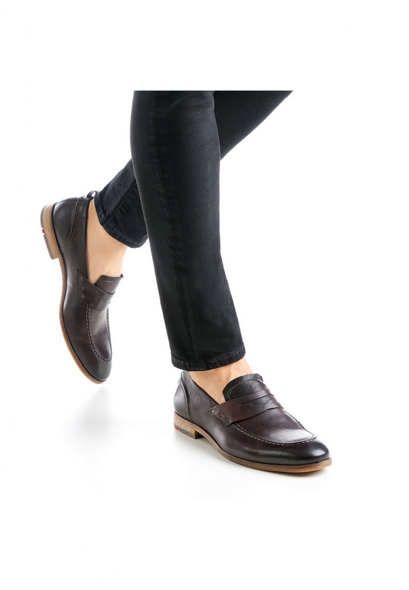 Férfi LLOYD RIPAN Slip Ons Barna | ZGT295840