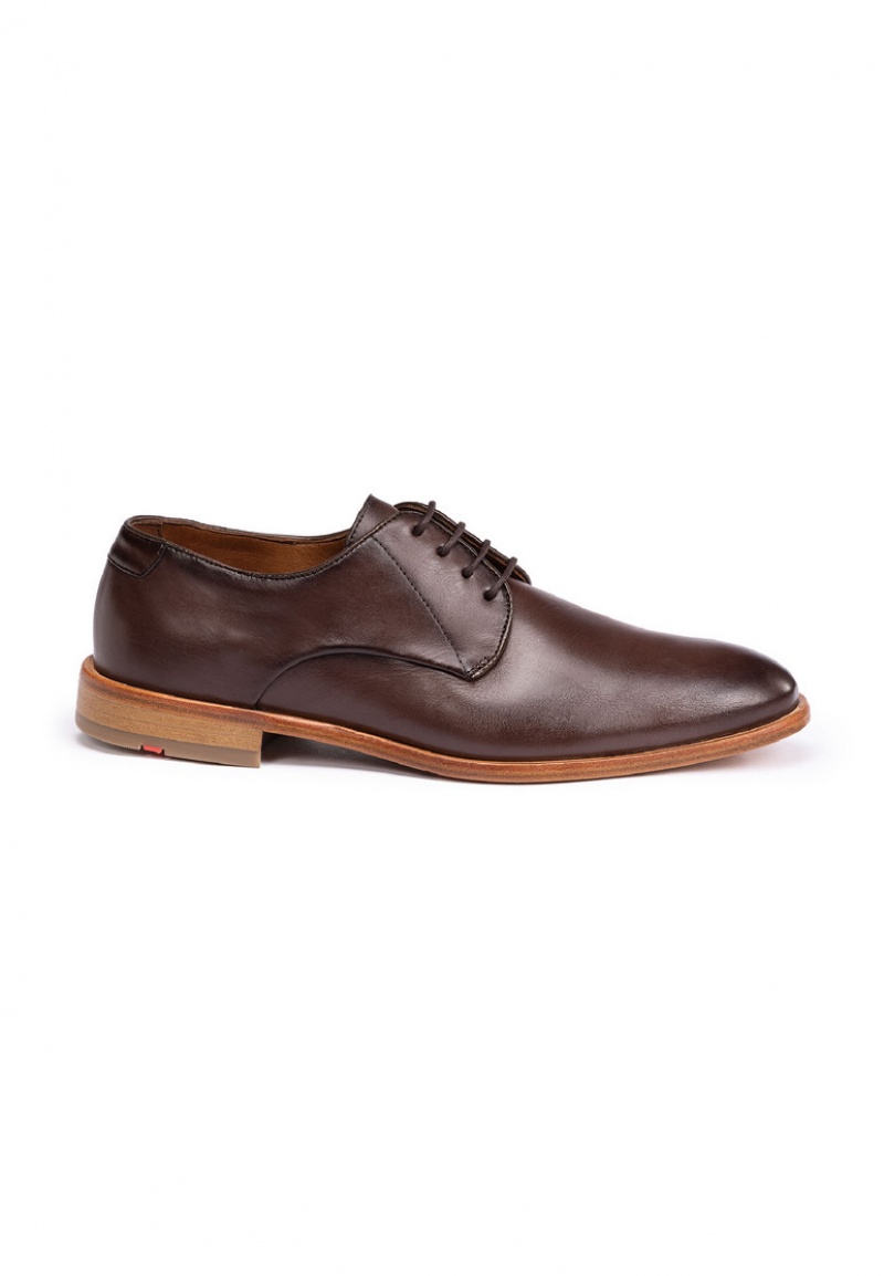 Férfi LLOYD TERRY Smart shoes Barna | XGW054369