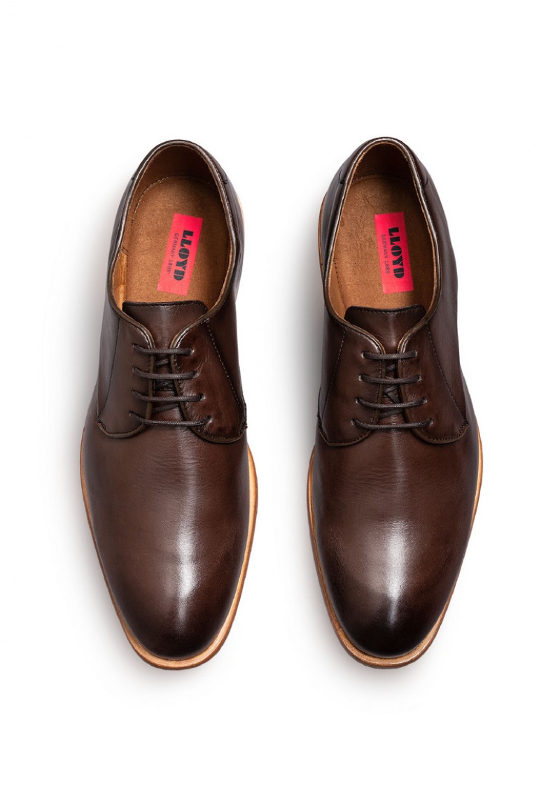 Férfi LLOYD TERRY Smart shoes Barna | XGW054369