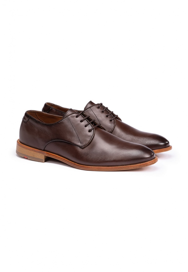 Férfi LLOYD TERRY Smart shoes Barna | XGW054369