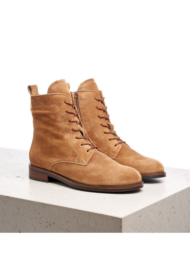 Női LLOYD ANKLE BOOTS Bokacsizma Barna | VGT639584